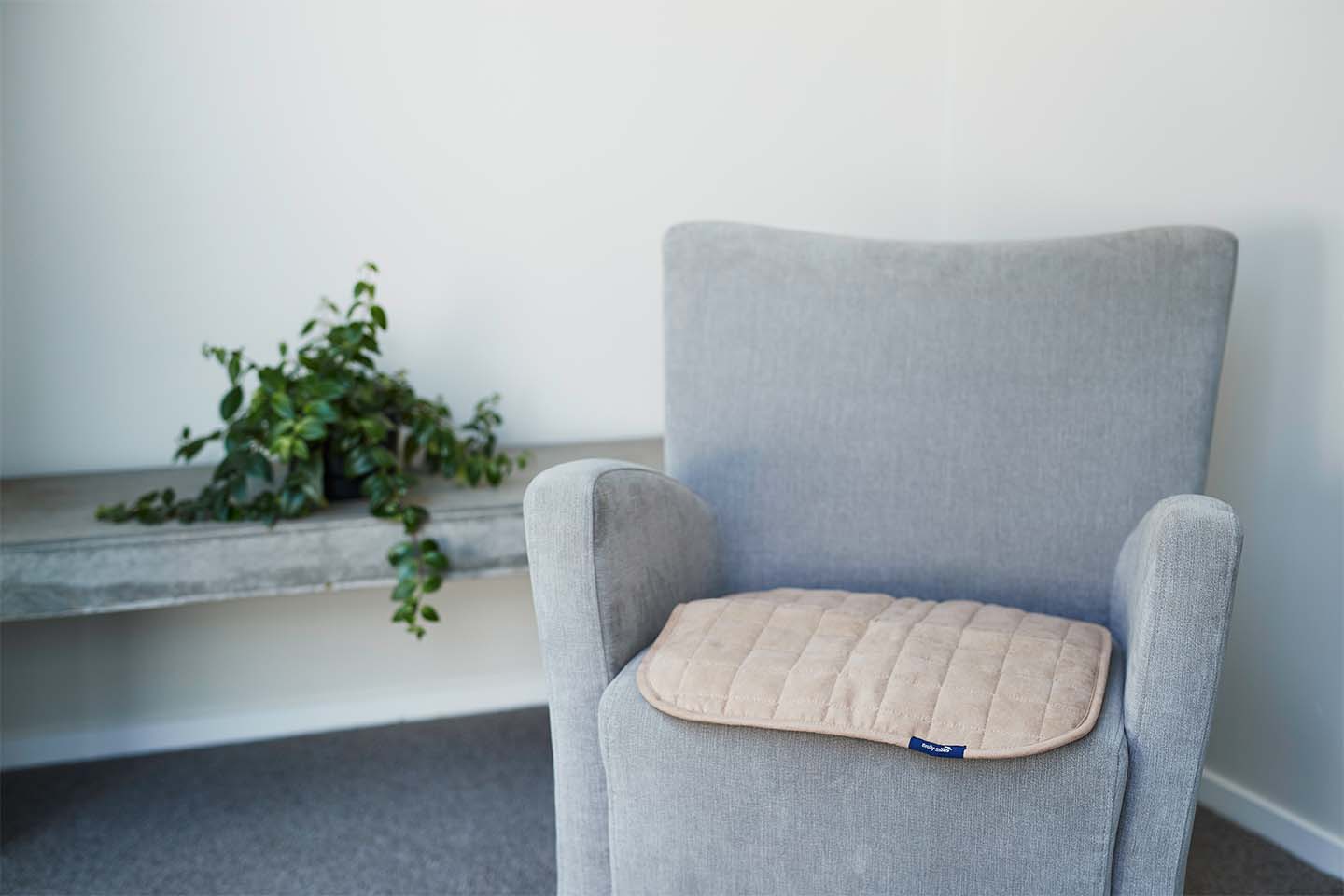 Adult Chair Pad - Brolly Sheets NZ