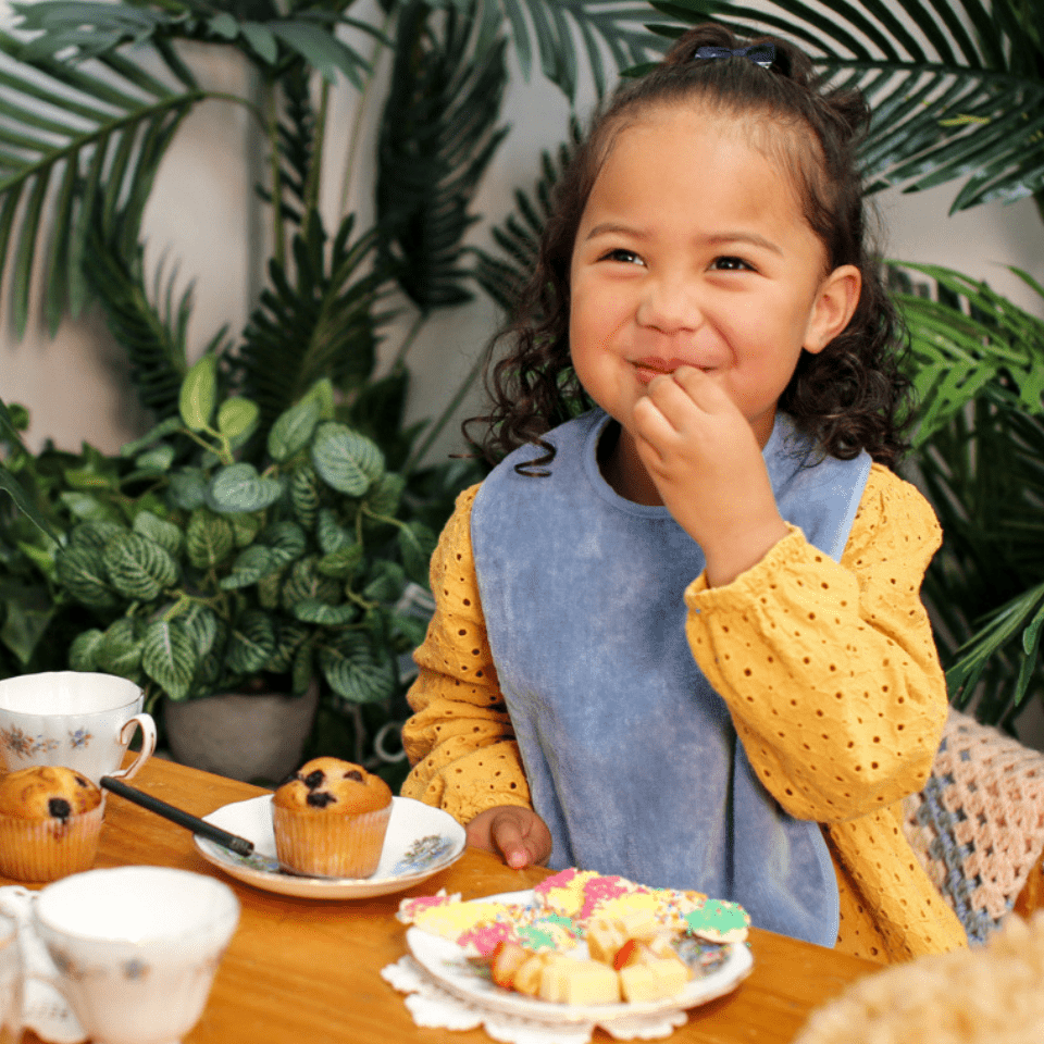 Extra Absorbent Bib - Baby and Toddler - Brolly Sheets NZ