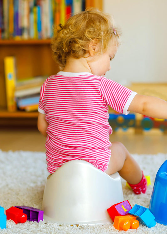 Sustainable Potty Training: How To Approach It