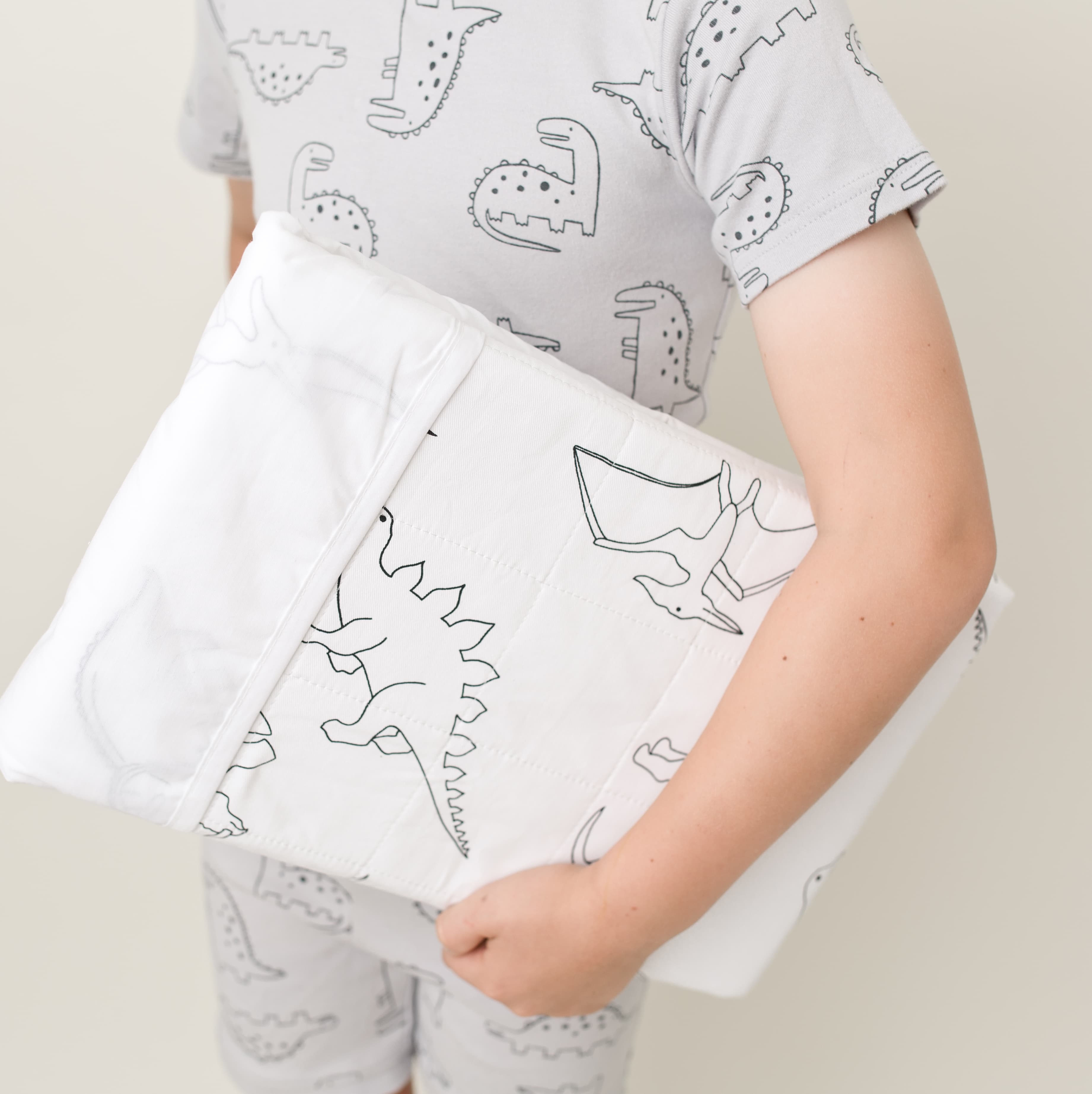 Brolly Sheet - Dinosaur