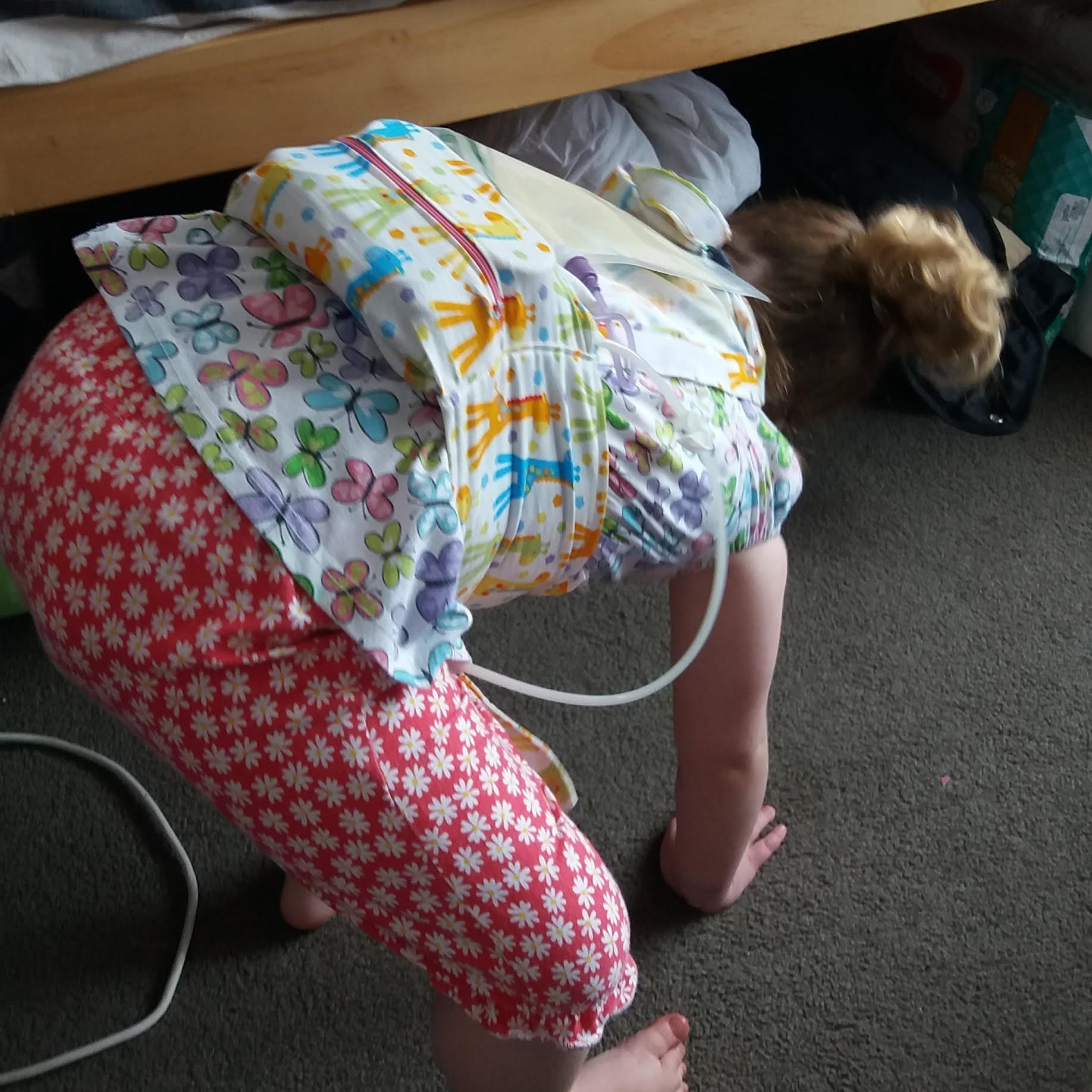 300ml Tube Feeding Pouches Kai Carrier x3