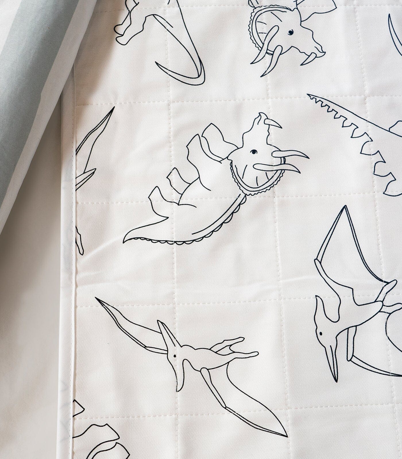 Brolly Sheet with Wings- Dinosaur - Brolly Sheets NZ