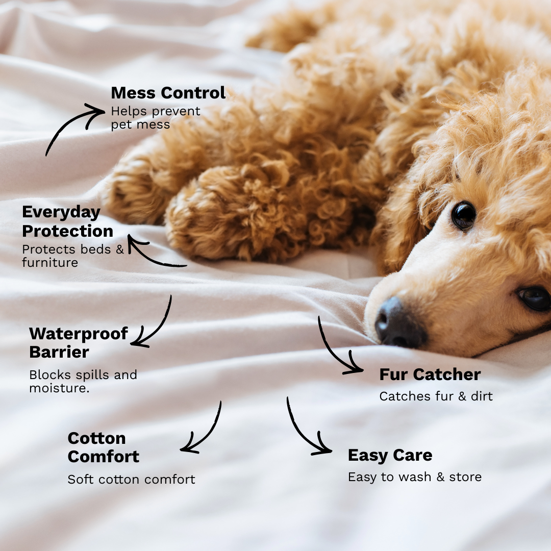 Pet Large Waterproof Sheet