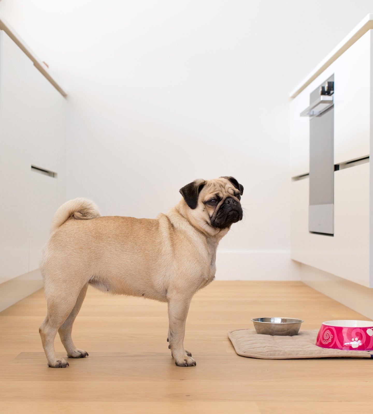 Pet Mat - Brolly Sheets NZ - Beige