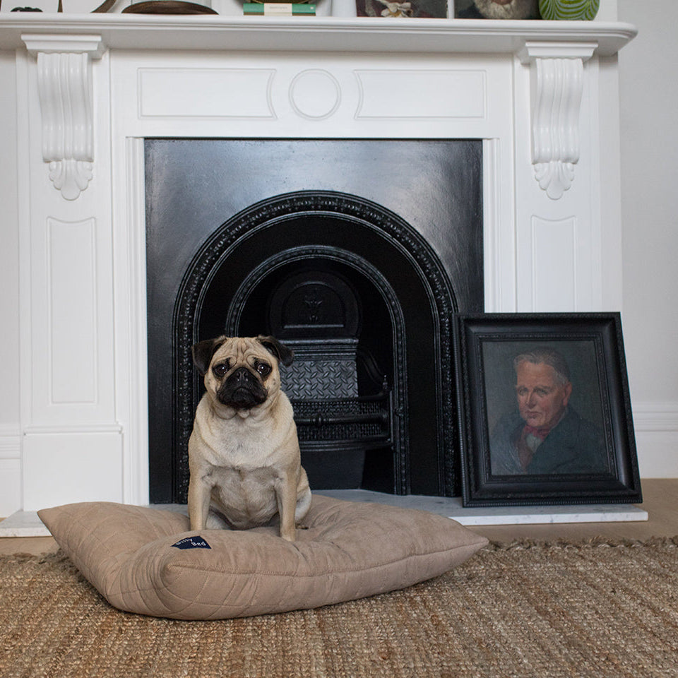 Buddy Cover Faux Suede - Brolly Sheets NZ