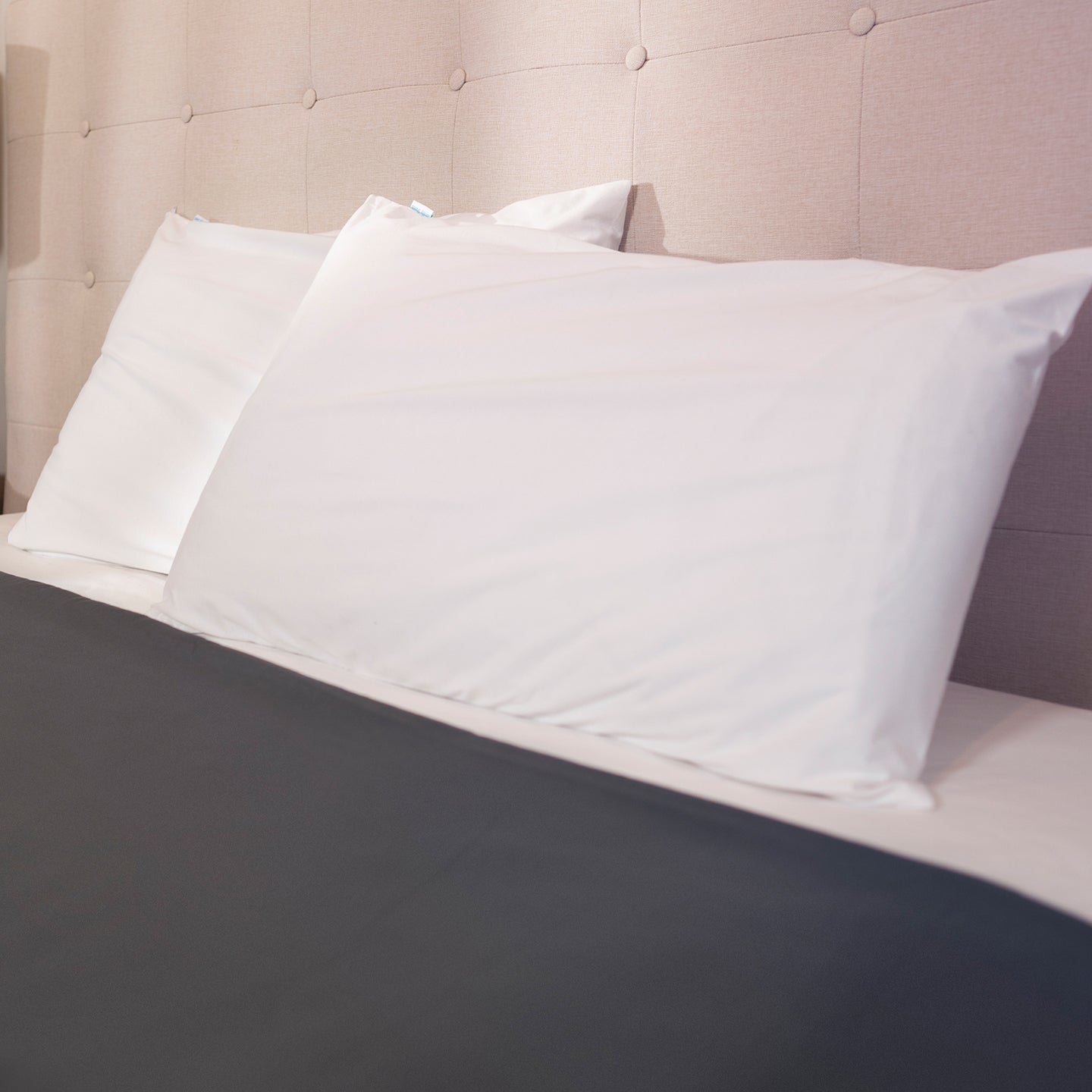 Pillow Protector Cotton - Brolly Sheets NZ