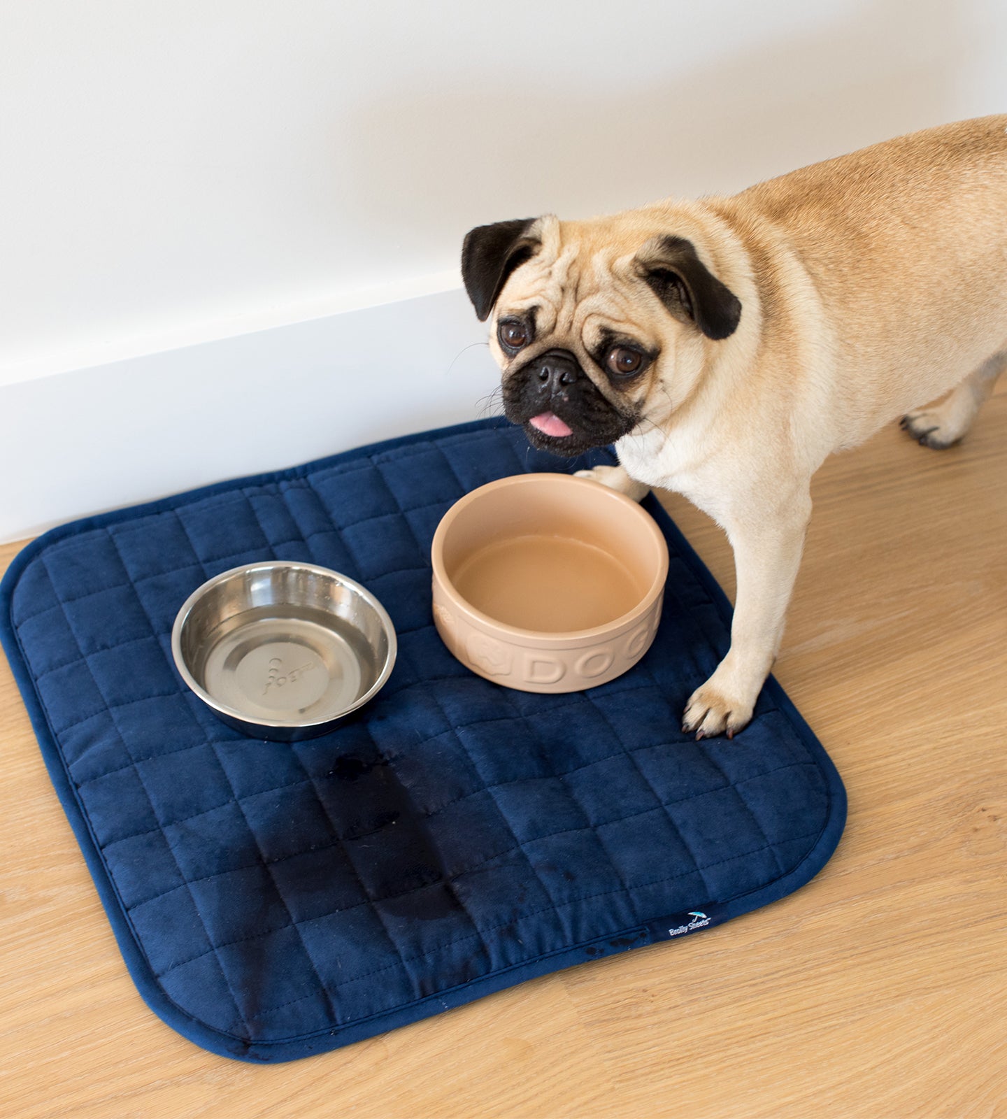 Pet Mat - Brolly Sheets NZ - Navy